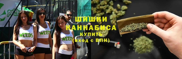 сатива Семёнов