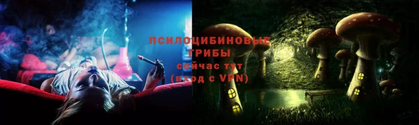2c-b Богданович