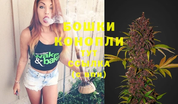 2c-b Богданович