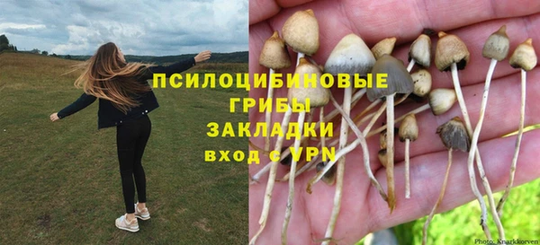 каннабис Беломорск