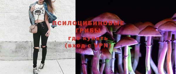 2c-b Богданович