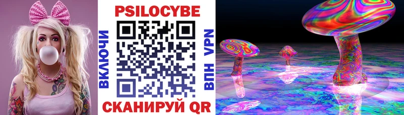 где купить наркоту Ковдор Псилоцибиновые грибы Psilocybe