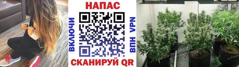 МЕГА вход  Ковдор  Каннабис тримм 